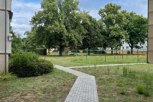 WOHNEN am VOLKSGARTEN. SINGLE-(T)RAUM. PARTERRE. LAMINAT. EINBAUKÜCHE möglich. Bad mit WANNE & WC – Die vollständige Adresse der Immobilie erhältst du vom Anbieter., 4347 Schönefeld-Ost, Leipzig – Vorschaubild 1