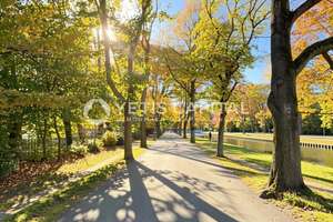 NEU MODERNISIERT 🤩 MIT AUFZUG + BALKON & TAGESLICHTBAD AM RAUCHENSTRAUCH-KANAL +PROVISIONSFREI+ – Die vollständige Adresse der Immobilie erhältst du vom Anbieter., 50931 Lindenthal (Ortsteil), Köln – Vorschaubild 9