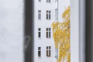 Attraktive 2-Zimmer-Wohnung als Investition nahe dem Lietzensee in einem schönen Altbau! (vermietet) – Sophie-Charlotten-Straße 46, 14059 Charlottenburg, Berlin – Vorschaubild 6