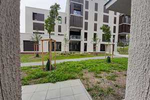 Großzügige, lichtdurchflutete 2-Zimmer-Wohnung – neuwertig & modern – Fallenbrunnen 16, 88045 Friedrichshafen – Vorschaubild 2