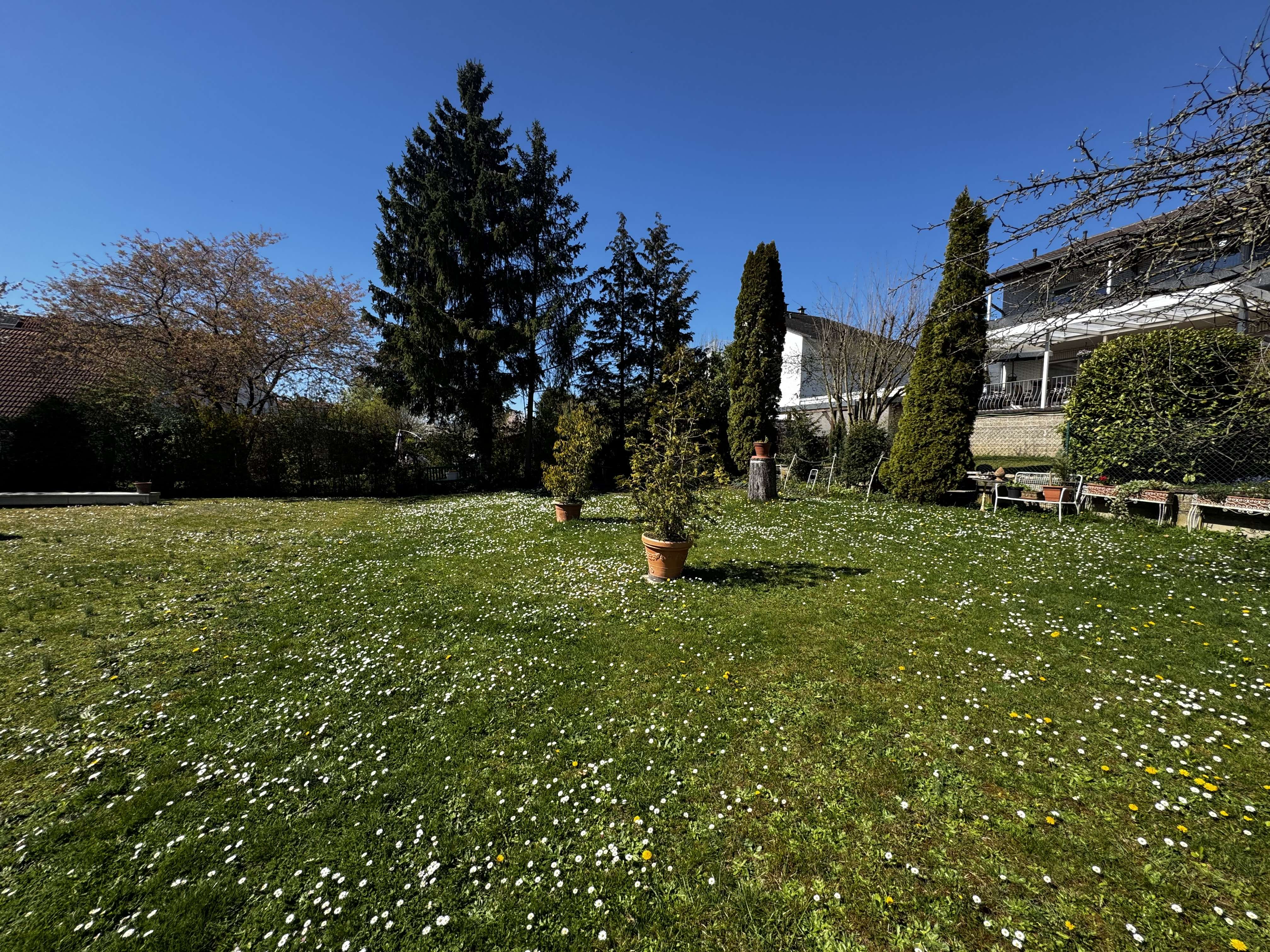Charmante zwei Zimmer Wohnung in Bad Nauheim / Nieder Mörlen, Wetteraukreis – Bild 4