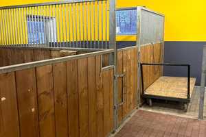 Gr. renov. EFH mit Garagen und Reitanlage für 9 Pferde! – Roth (Kreis) – Vorschaubild 11