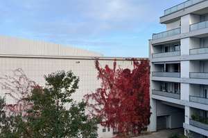 2 Zi. München-Pasing, moderne Etagenwohnung mit Aufzug, direkt neben den Pasing Arkaden, – Die vollständige Adresse der Immobilie erhältst du vom Anbieter., 81241 Pasing, München – Vorschaubild 24