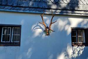 Oberlausitzer Bauernhaus - das besondere Wohnen! – Bautzen (Kreis) – Vorschaubild 3