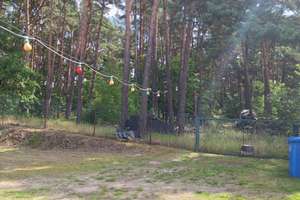 "Ein Schätzchen wartet: Ländliches Domizil in idyllischer Gegend – Waldweg 9, 15754 Heidesee – Vorschaubild 4