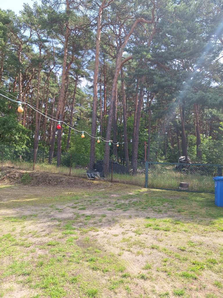 Immobilie in Heidesee - "Ein Schätzchen wartet: Ländliches Domizil in idyllischer Gegend - Bild 2