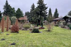 Großzügiges Zuhause mit Gartenidylle – Oberspreewald-Lausitz (Kreis) – Vorschaubild 8
