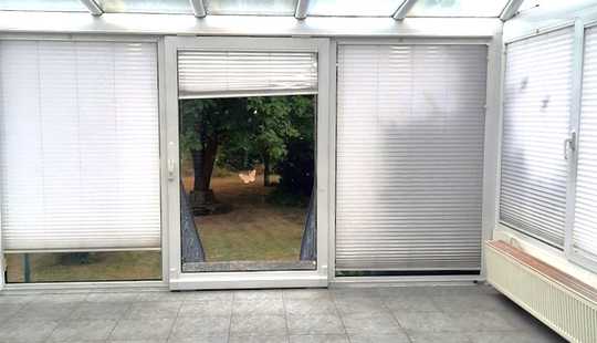 Bild von 1-2 Familienhaus ! Keller ! Wintergarten ! Grundstück 1121 qm