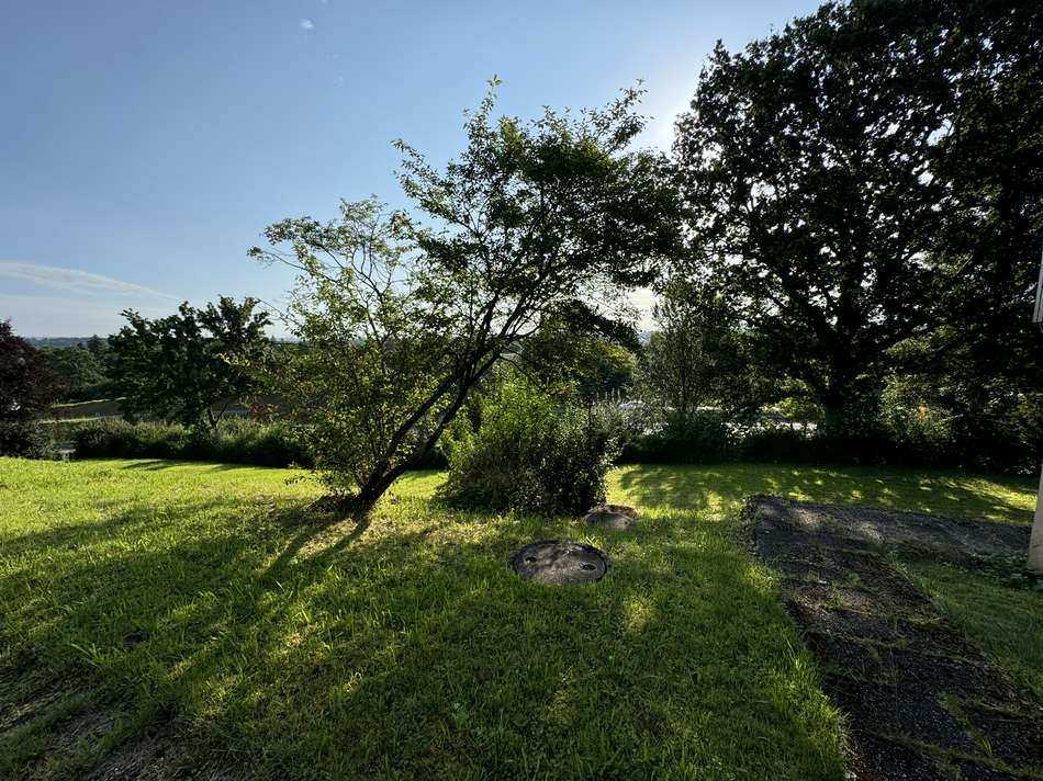 Garten 1