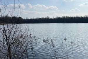 Verkauf eines 96 qm eingeschossigen Reihenhauses in sehr ruhiger Anliegerstraße nahe des Nymphensees – Die vollständige Adresse der Immobilie erhältst du vom Anbieter., 14612 Falkensee – Vorschaubild 12