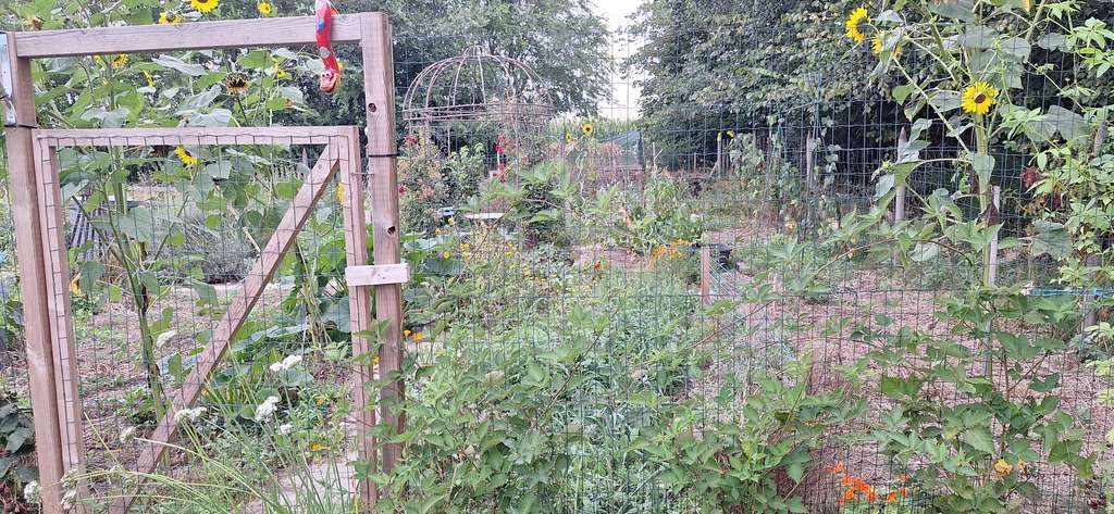 Immobilie in Wittingen - Resthof mit Weide und großem Garten - ideal für Selbstversorger und Tierbesitzer - 1,37ha - Bild 4