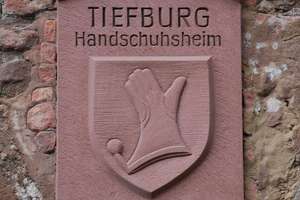 Studieren in Heidelberg - Wohnen in HD-Handschuhsheim - Laminat - Nur an Studenten/-in – Die vollständige Adresse der Immobilie erhältst du vom Anbieter., 69121 Handschuhsheim, Heidelberg – Vorschaubild 9