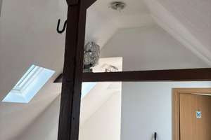 Mehrfamilienhaus mit 4 Wohneinheiten + Teilungserklärung in VS-Schwenningen / 5,9% Rendite – Hans-Sachs-Str. 26, 78054 Schwenningen, Villingen-Schwenningen – Vorschaubild 12
