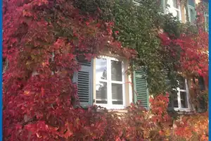 schönes einseitig angebautes Einfamilienhaus mit Flair – Merzig-Wadern (Kreis) – Vorschaubild 27