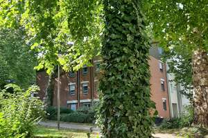 Attraktives City-Appartement mit EBK! – Kronprinzenstr. 27B, 44135 Kaiserbrunnen, Dortmund – Vorschaubild 2