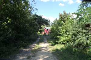 Wohnhaus-Bungalow auf 2400 m² Grundstück mit Schwimmteich und Nebengelass – Kiefernweg 6, 14797 Potsdam-Mittelmark (Kreis) – Vorschaubild 57