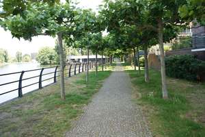 Property thumbnail 24