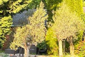 Exklusive Erdgeschossresidenz mit Haus-in-Haus Charakter – Unitasstr., 36, 53879 Euskirchen – Vorschaubild 25