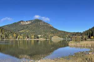 Naturnahes Leben in Schliersee, Ortsteil Neuhaus – Waldschmidtstraße 4f, 83727 Miesbach (Kreis) – Vorschaubild 12