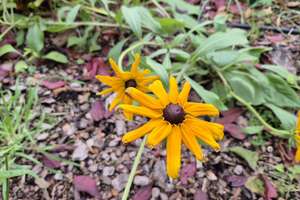 Property thumbnail 25