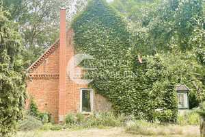 Wohnhaus in verträumter Lage mit naturbelassenem Garten – Ludwigslust (Kreis) – Vorschaubild 18