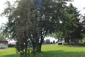 EFH IN RUHIGER SIEDLUNG – Dingolfing-Landau (Kreis) – Vorschaubild 6