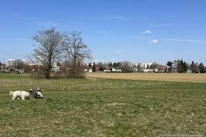 Hochparterre Wohnen im Grünen - Parkstadt Solln – Die vollständige Adresse der Immobilie erhältst du vom Anbieter., 81477 Solln, München – Vorschaubild 11
