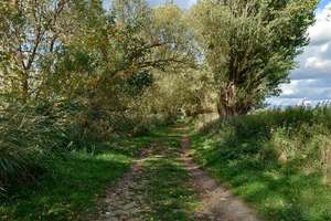 6 Zimmer im Grünen am Schweriner See – Storchenweg 6b, 19067 Dobin am See – Vorschaubild 32