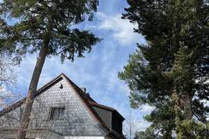 Gepflegtes Einfamilien Haus mit fantastischem Garten und großen Grundstück (von privat) – Berlin – Vorschaubild 119