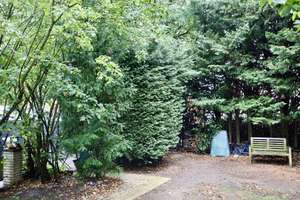 Viel Platz für die ganze Familie in Pesch! Großer, freistehender Bungalow!  ELW möglich! – Die vollständige Adresse der Immobilie erhältst du vom Anbieter., 50767 Pesch, Köln – Vorschaubild 19