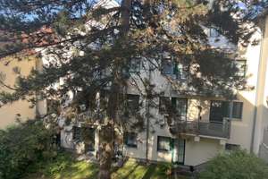 Ruhiges Appartement  direkt neben der Uni in Neuprüll (Erbpacht)