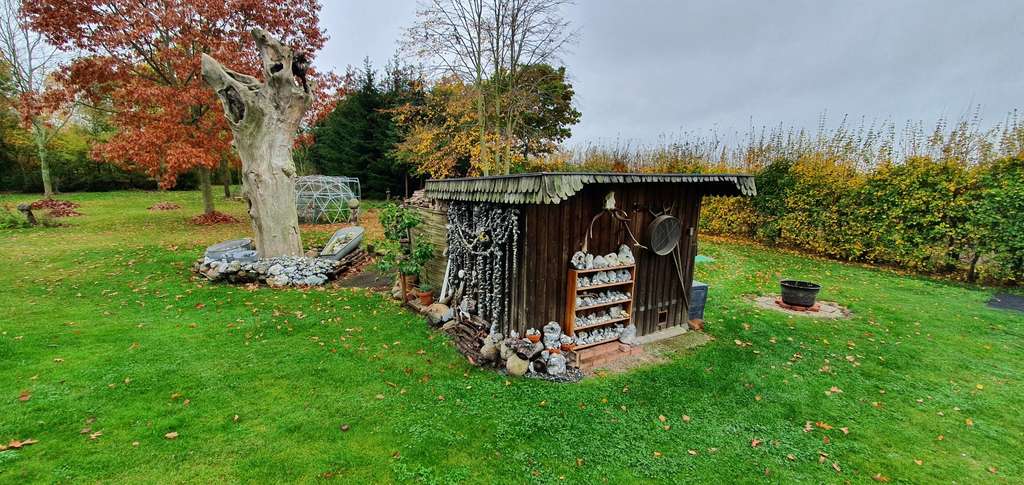 Immobilie in Spantekow - Galerieholländer-Mühle in Vorpommern - Liebhaberobjekt - Bild 3