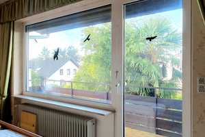 Zuhause ist dort, wo Ihr Herz auch dafür schlägt... Schauen Sie hier mal rein!  – Rhein-Neckar-Kreis – Vorschaubild 40