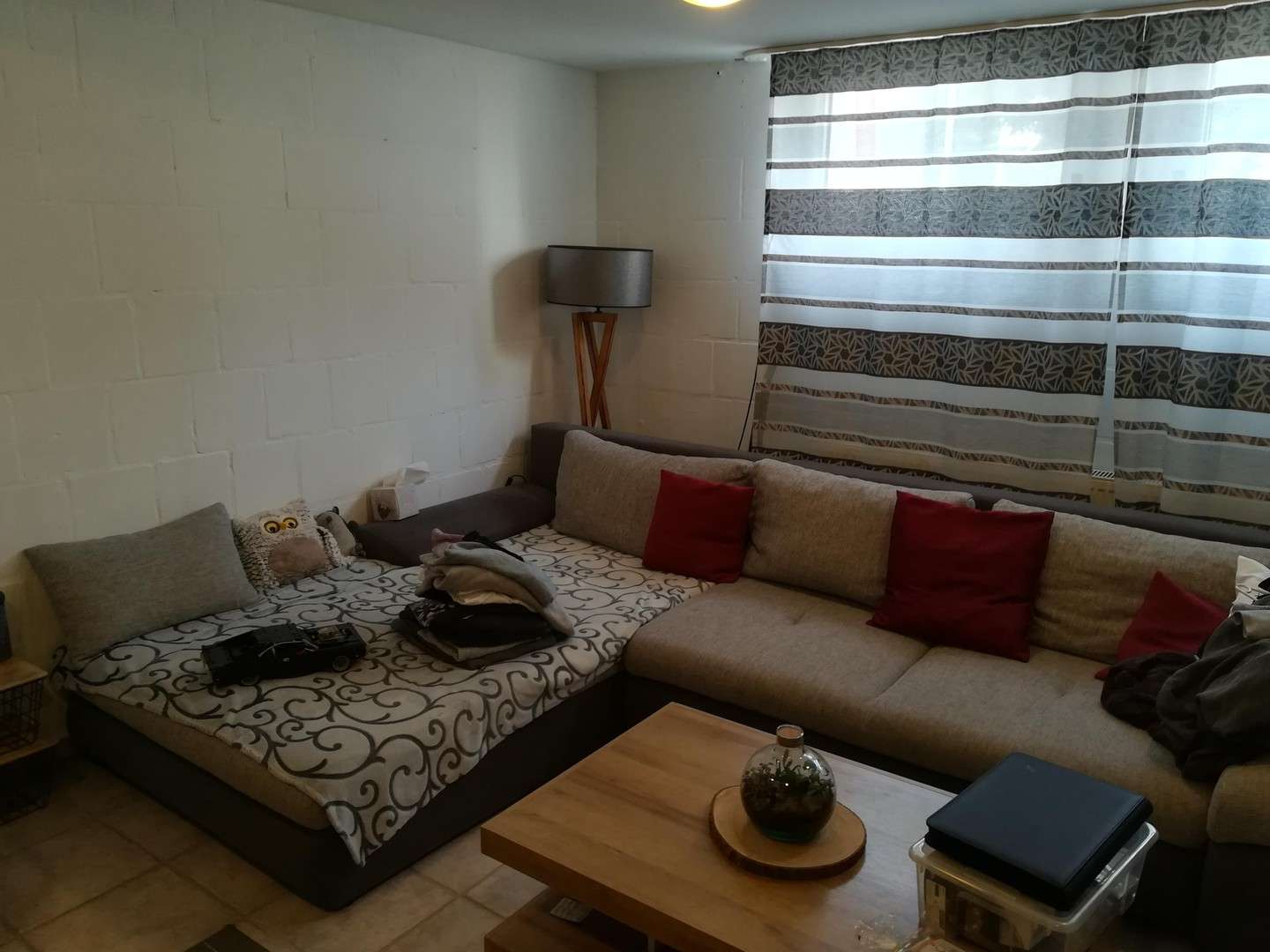 Immobilie in Beckum - Idylisches Mehrfamilienhaus in Beckum - Bild 9