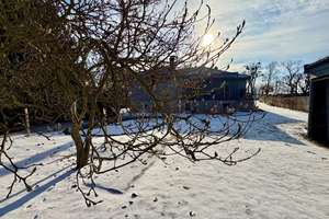 Property thumbnail 13