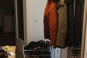 Wohnen mit Charakter: Kompakte 2-Zimmer-Wohnung in Dessau-Roßlau – Friedensplatz 2, 6844 Innerstädtischer Bereich Mitte, Dessau-Roßlau – Vorschaubild 4