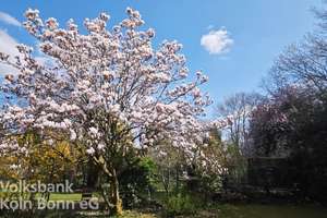 Property thumbnail 22