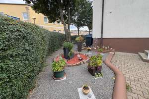 Wohnen & Wohlfühlen: Großes Einfamilienhaus mit Potenzial für zwei Parteien – Die vollständige Adresse der Immobilie erhältst du vom Anbieter., 6217 Merseburg – Vorschaubild 3