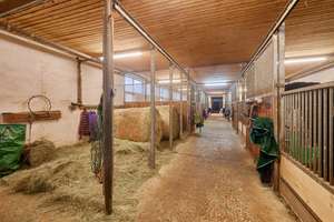 Reitanlage im Schwarzwald auf einem Erbpacht-Grundstück mit zwei Wohneinheiten! – Die vollständige Adresse der Immobilie erhältst du vom Anbieter., 75323 Bad Wildbad – Vorschaubild 8