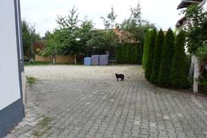 Mehrfamilienhaus/WG/Pension im Herzen von Dingolfing, Monteurunterkunft – Bahnhof Strasse 25, 84130 Dingolfing – Vorschaubild 9