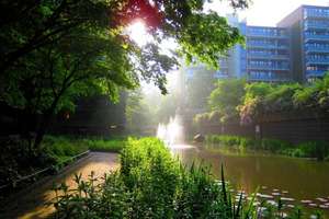 Property thumbnail 22