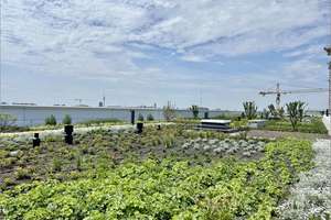 Property thumbnail 16