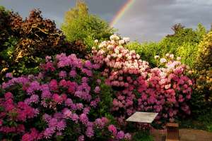 Property thumbnail 86