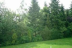 Attraktives Apartment mit schönem Blick ins Grüne ... 