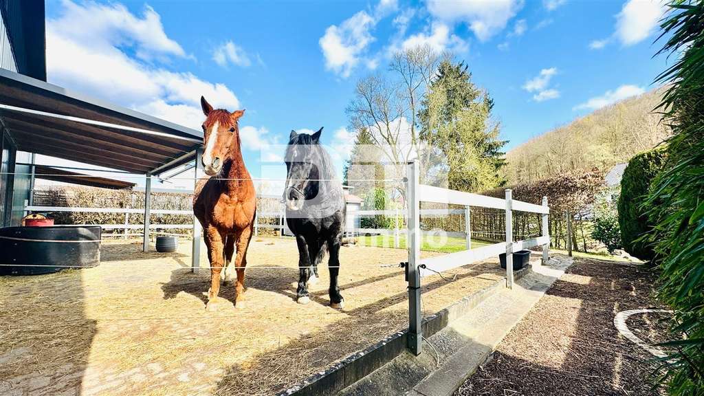 Immobilie in Waldkappel - Wohnensemble mit Platz für Visionen: Saniertes Fachwerkhaus / Scheune + Halle mit Paddock - Bild 4