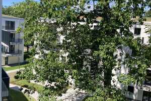 Property thumbnail 23