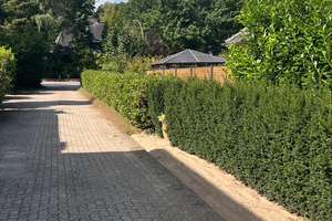 EFH mit Entwicklungspotential und direkter Waldlage in Hamburg-Hausbruch – Die vollständige Adresse der Immobilie erhältst du vom Anbieter., 21149 Hausbruch, Hamburg – Vorschaubild 13