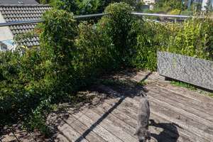 Großzügiges Einfamilienhaus mit 8 Zimmern, Garage und Stellplatz in Korntal-Münchingen/Kallenberg – Die vollständige Adresse der Immobilie erhältst du vom Anbieter., 70825 Korntal-Münchingen – Vorschaubild 5