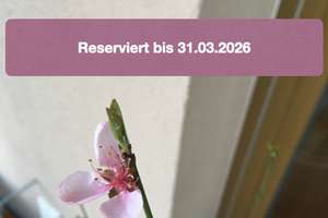 Stilvolle 4,5-Zimmer-Maisonettewohnung m. Garten, ruhige zentrale Lage a. Auwald, Neubau, Zweitbezug