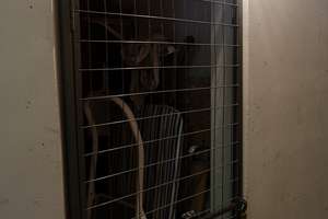 Exklusive 2-Zimmer-Wohnung in Mainz-Kastel – 55252 Mainz-Kastel, Wiesbaden – Vorschaubild 14